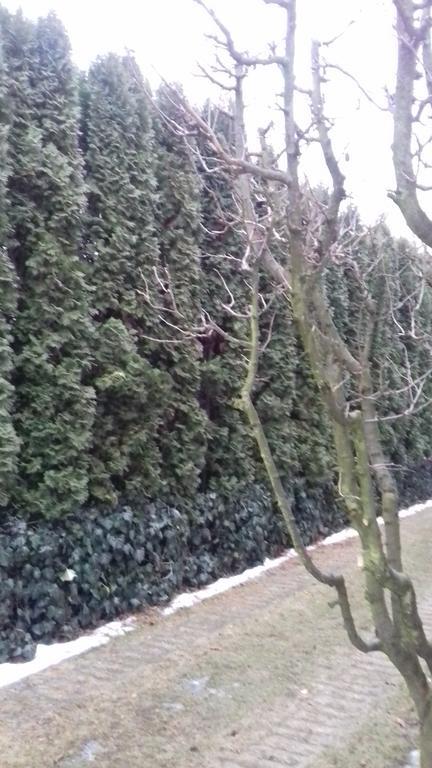 Margareta Vendeghaz Hotel Miskolc Luaran gambar