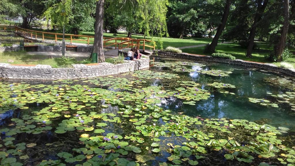 Margareta Vendeghaz Hotel Miskolc Luaran gambar